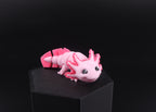 3D Printed Mini Reptile and Amphibian Fidget Toy Set – Articulated Classroom Reward Gift
